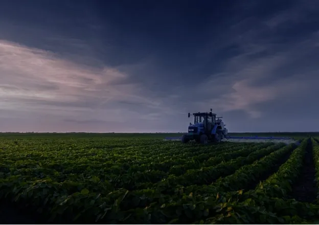 Trator trabalhando em uma plantação verde ao entardecer.