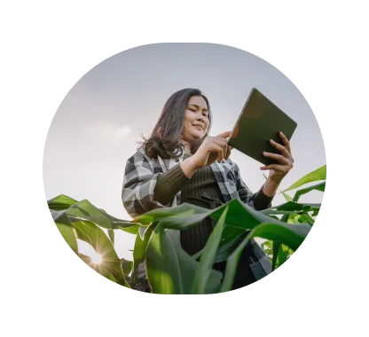 Ícone estilizado de uma figura humana azul na frente de livros ou documentos abertos, representando informações e conhecimento no contexto agro.