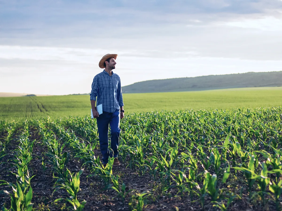 Produtor rural com crédito para cultivo rural