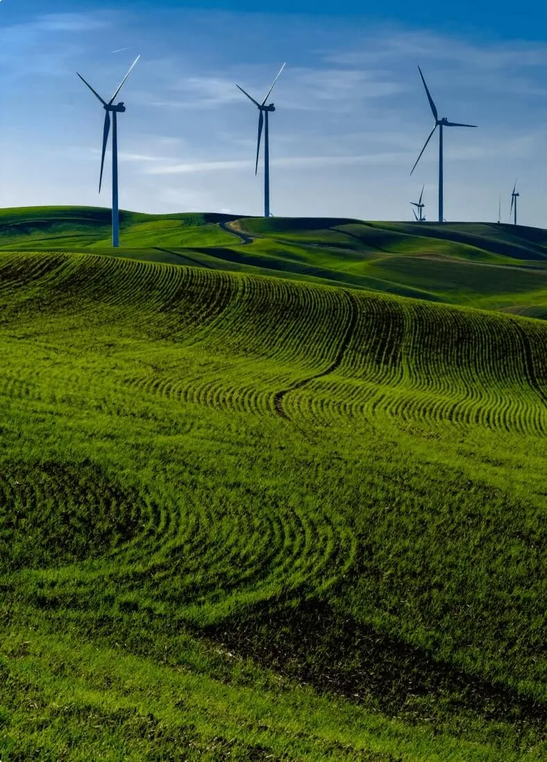 Parque eólico em colinas verdes sob céu azul, destacando energia renovável