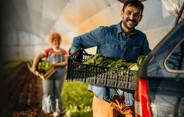 Produtor rural colhendo vegetais com confiança e tranquilidade, sabendo que pode contar com seu fornecedor e distribuidor de insumos agrícolas para obter crédito seguro, mantendo a produtividade e o crescimento sustentável de sua horta.
