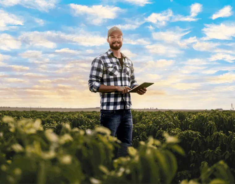 Homem trabalhando com diversas caixas de vegetais
