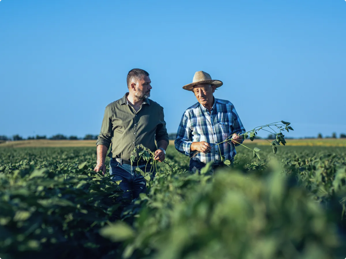 Dois homens inspecionando plantação distribuição de insumos agrícolas