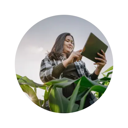Ícone estilizado de uma figura humana azul na frente de livros ou documentos abertos, representando informações e conhecimento no contexto agro.
