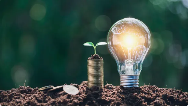 Lampada ligada na terra simbolizando a energia pura e natural